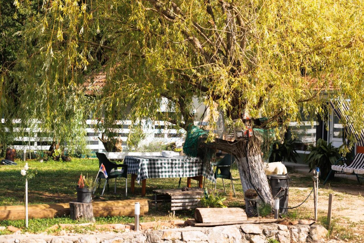 Apartman Barka Голубац Экстерьер фото