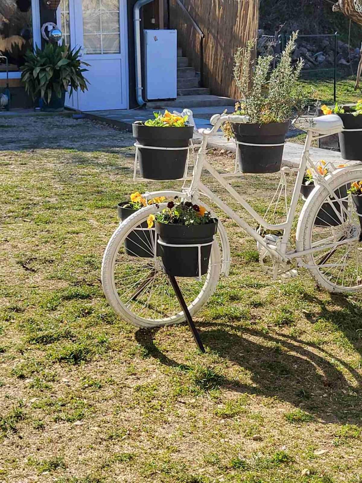 Apartman Barka Голубац Экстерьер фото